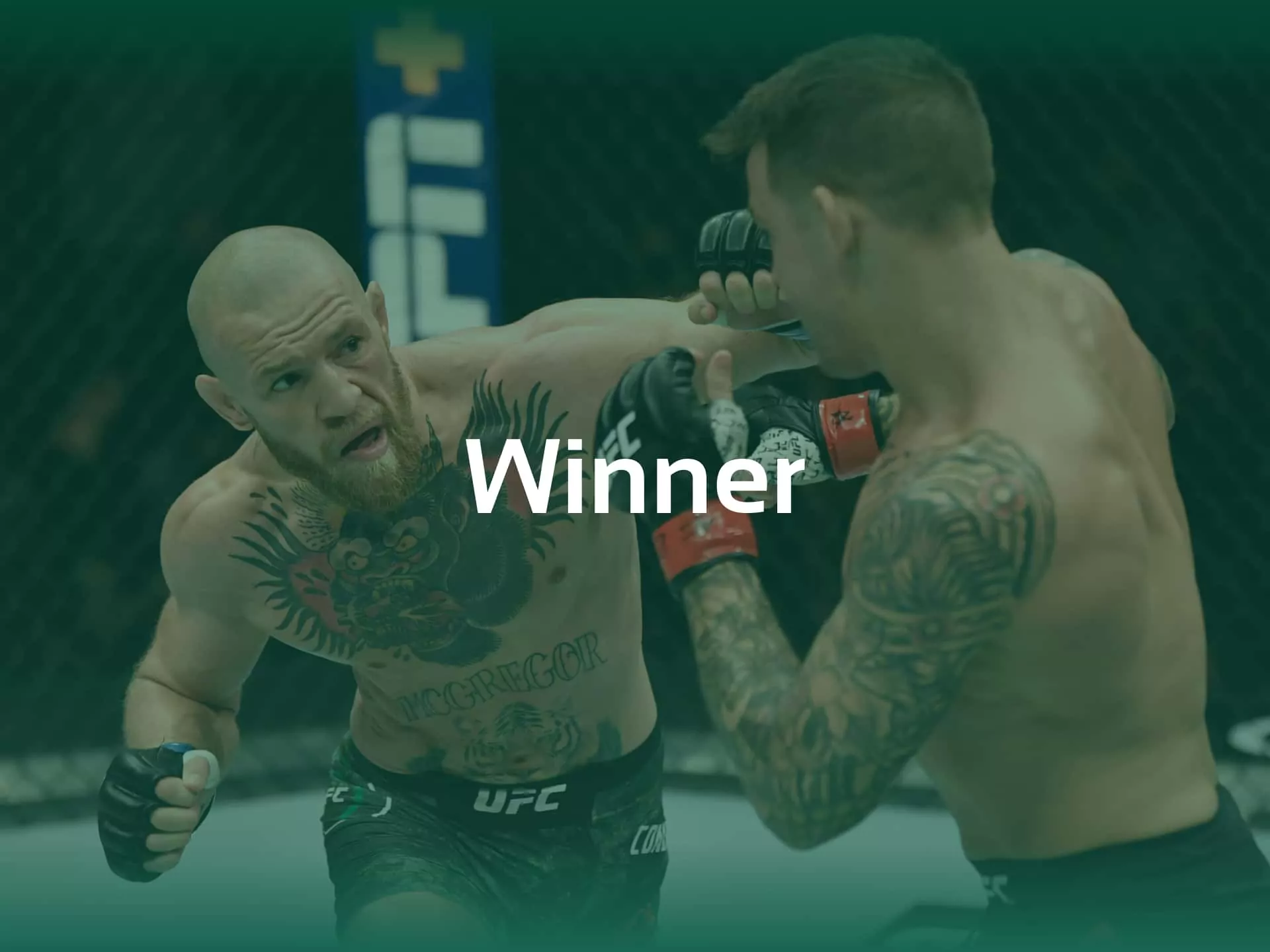 Winner bet type on UFC betting sites.