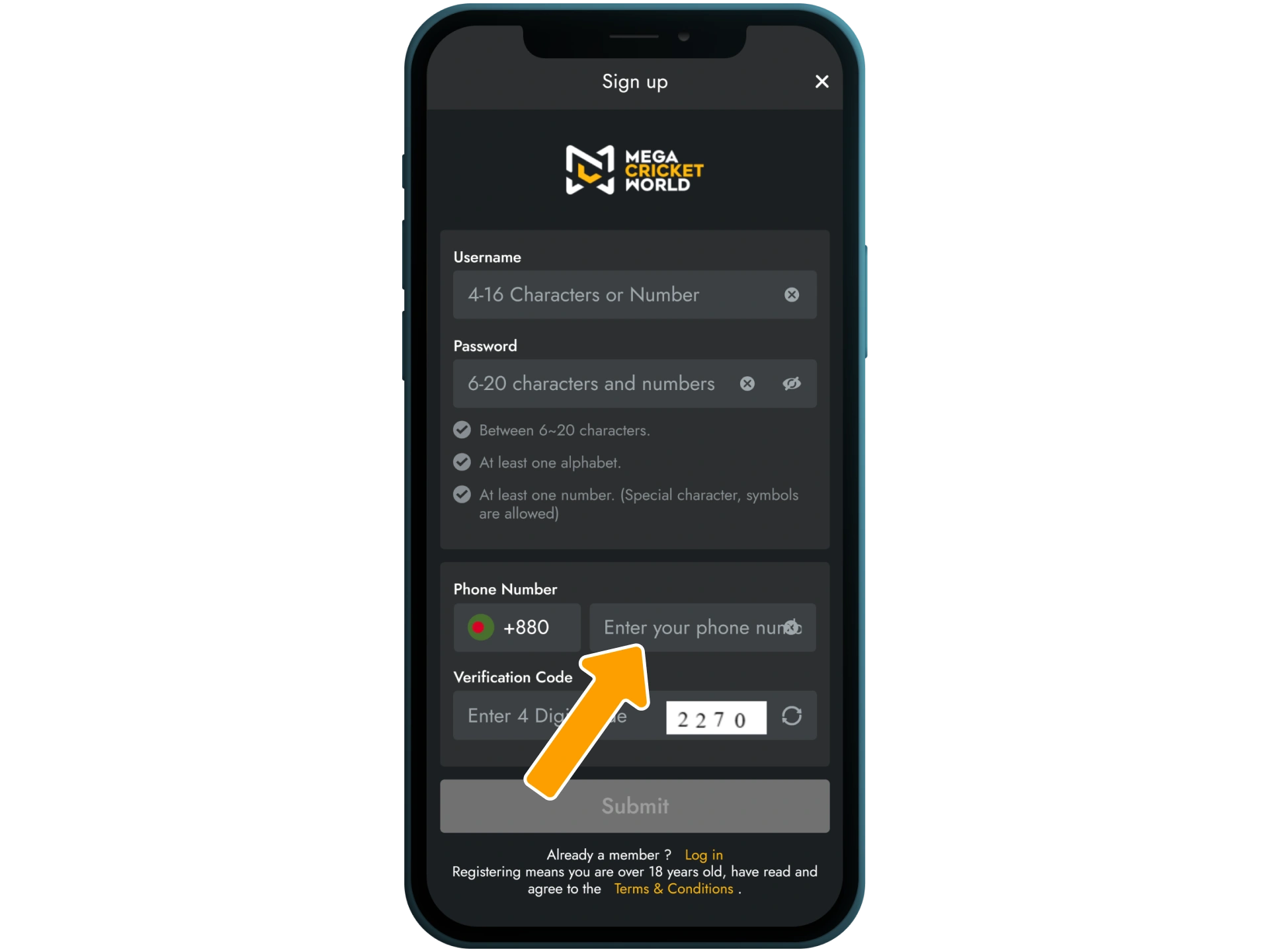 Input phone number, email, and promo code on Mega Cricket World.