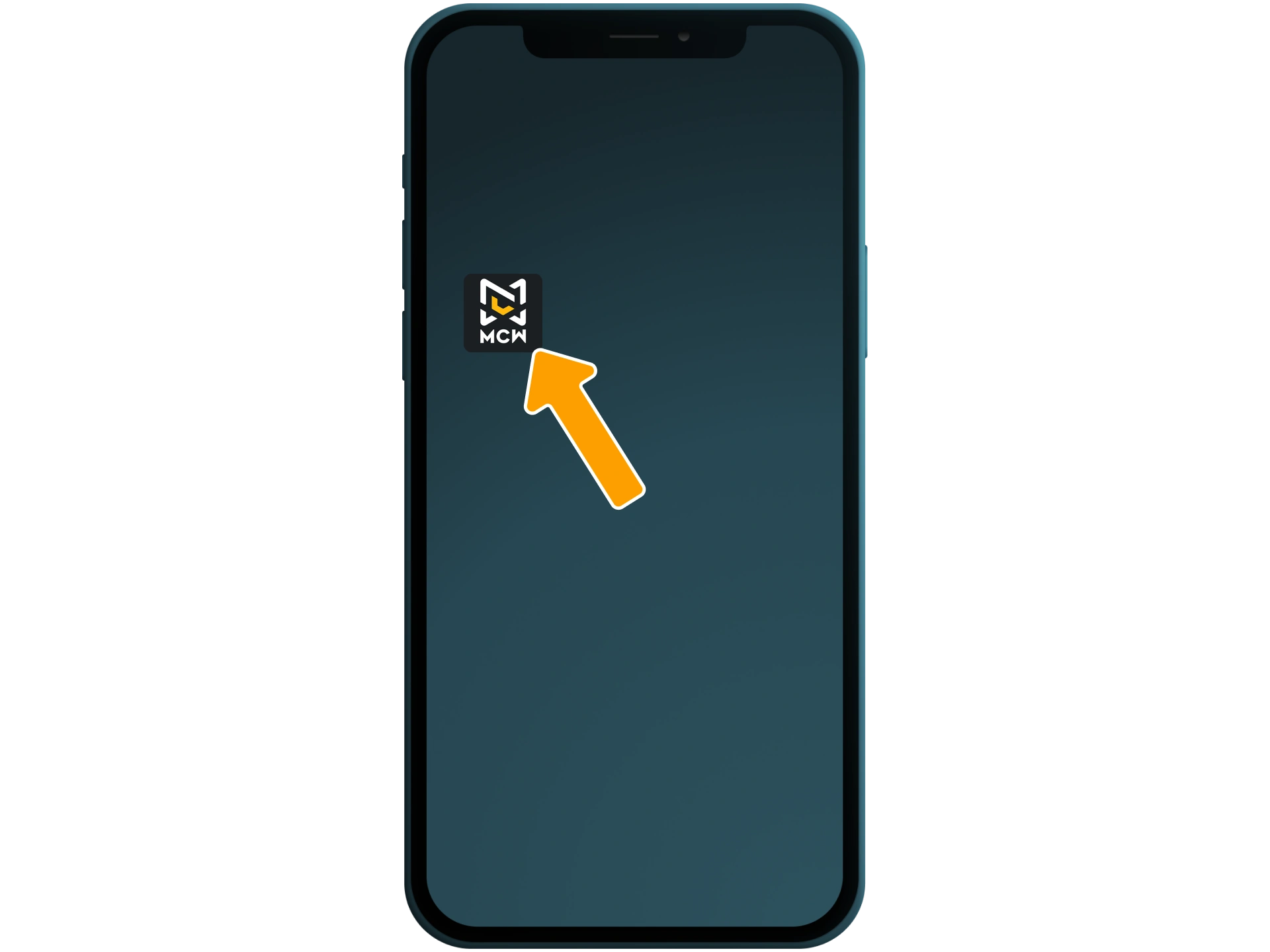 Open Mega Cricket World app from the menu.